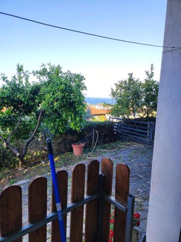 a fence with two baseball bats in a yard at IL CONTE DI MARRAONE in Agnone