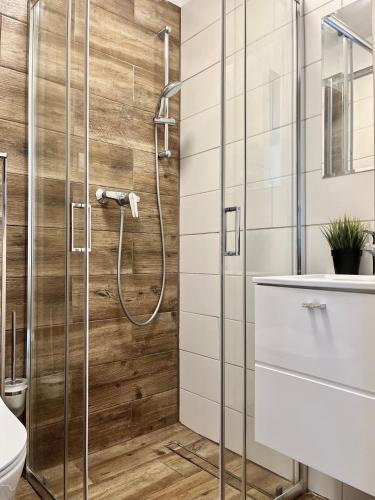 a bathroom with a shower and a toilet at U Borsuków in Pobierowo