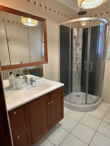 une salle de bain avec un lavabo et une douche dans l'établissement Mas de Barthe Avignon, Ile de la Barthelasse, à Avignon