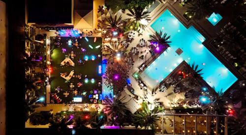 a christmas tree in a window with christmas lights at Hilton West Palm Beach in West Palm Beach