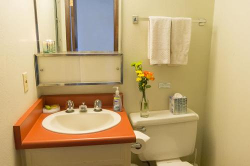 a bathroom with a sink and a toilet and a mirror at Beachfront Bungalow Walk to Ocean & Restaurants in Lihue