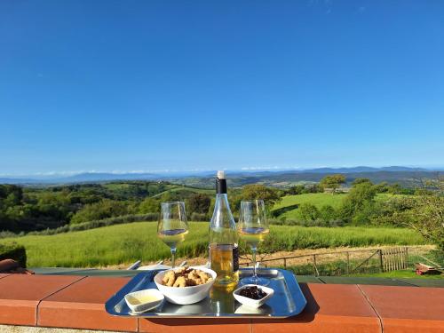 a tray with wine glasses and a bottle of wine at Appartamento panoramico in Pancole