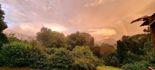 a rainbow in the sky over a forest with trees at Never Daunted in Hogsback