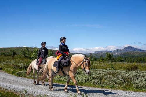 two people riding horses down a road at Nostalgic Cabin with 3 BR, Fireplace, and Terrace in Beitostøl