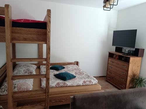 a bedroom with two bunk beds and a television at Chalupa pod hradom Branč in Podbranč