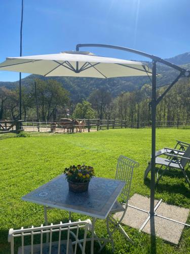 a table with an umbrella on a field at Ranch Enbrucà in Boves