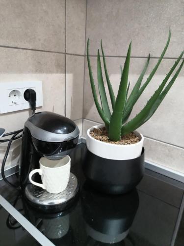 a plant in a pot on a counter with a coffee maker at Apartmani Zoe, Jagodina, Aqvapark, K-kompleks in Trnava
