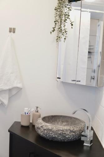 a bathroom with a stone sink on a counter at Garden Luxus Apartment in Bayreuth