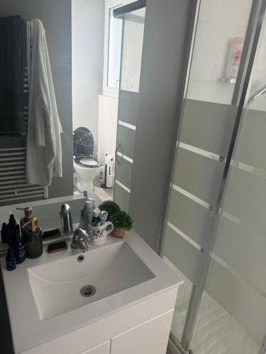 une salle de bain avec un lavabo blanc et une douche dans l'établissement Beautiful appartement near 24h du Mans !!!, au Mans
