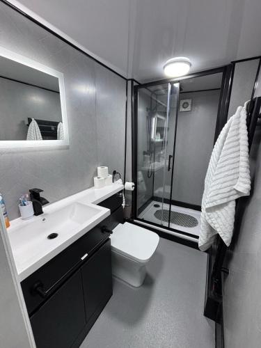 a bathroom with a shower and a toilet and a sink at The Cottage on the Rock in Barmouth