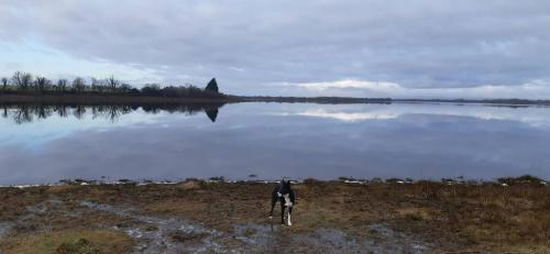 a person standing next to a body of water at Chalet on Cloghans Pier in Cloghans
