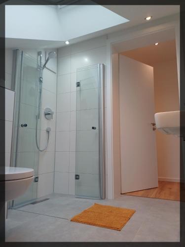 a bathroom with a shower and a toilet and a sink at Studio - modern, ruhig, naturnah & top angebunden in Kaufering