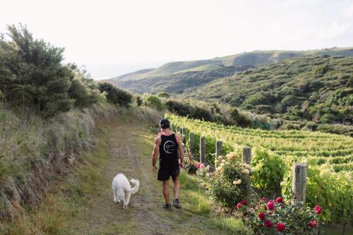 a man walking down a path with a white dog at Foudre Suite with Hot Tub at Barrelled Wines Raglan in Raglan