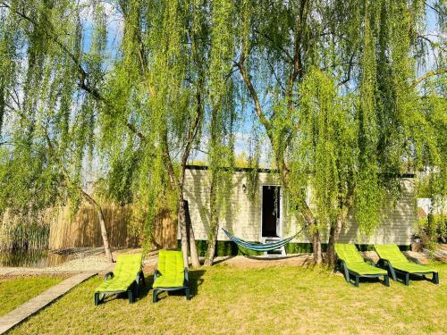 a group of chairs and a hammock under a tree at Tinyhouse Snagov Lake in Ciofliceni