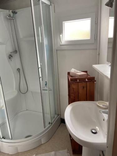 une salle de bain avec une douche, des toilettes et un lavabo dans l'établissement L'Eden : à deux pas de la plage, à Arcachon