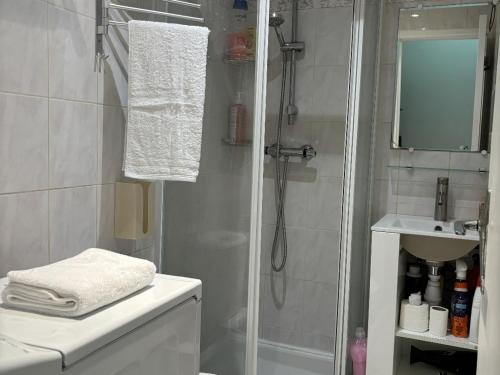une salle de bain avec douche et lavabo dans l'établissement centre villeOpéra, Gare st Lazare , cozy studio, à Paris