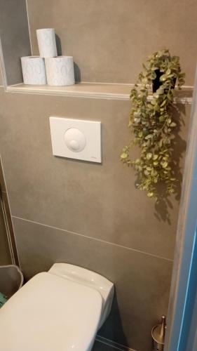 La salle de bains est pourvue de toilettes et de serviettes sur une étagère. dans l'établissement Studio neuf rue Gilbert, à La Celle-sous-Gouzon