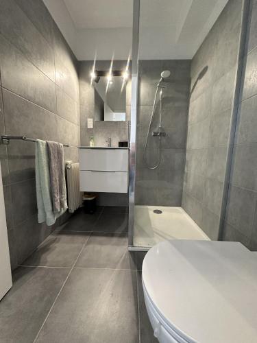une salle de bain avec une douche, des toilettes et un lavabo dans l'établissement PALLADIO studio cosy, à Cannes
