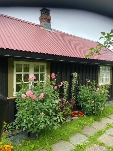 a house with a red roof and some flowers at Lite hus i hagen in Malvik
