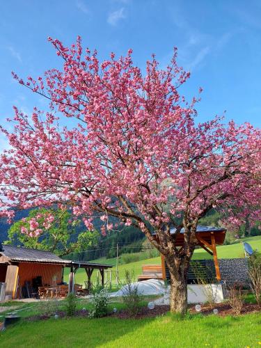 a tree with pink flowers on it in a yard at Hofpower`s Mountain Feeling in Hinterstoder