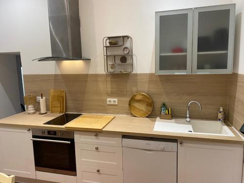 une cuisine avec un évier et un plan de travail dans l'établissement Les Salines de la Roquette, à Arles