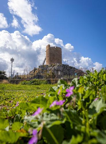 Σημείο ενδιαφέροντος κοντά σε αυτό το διαμέρισμα