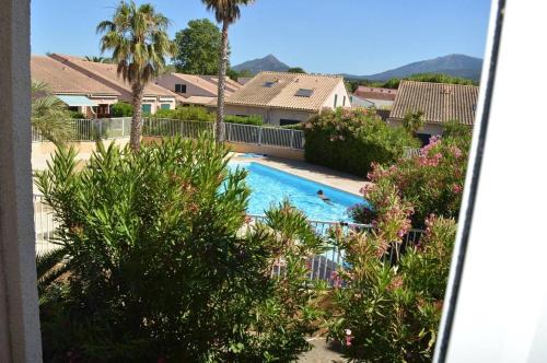 - une vue sur la piscine bordée de palmiers et de maisons dans l'établissement Appart 2 pièces 4 couchages ARGELES SUR MER AR220-111, à Argelès-sur-Mer