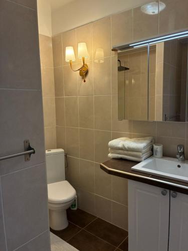 une salle de bain avec toilettes, lavabo et miroir dans l'établissement Sea View - Stylish Cannes Apt, à Cannes