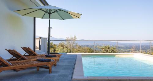a swimming pool with two chairs and an umbrella at Villa Vitovlje in Vitovlje