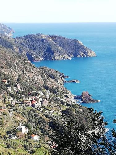 a group of houses on a hill next to the ocean at Hotel Silvia Framura - Cinque Terre in Framura