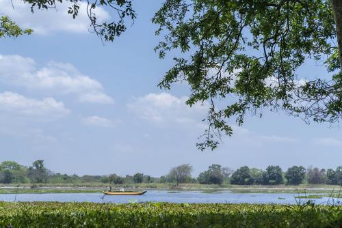 a boat on a river with a tree at Cinnamon Lodge Habarana in Sigiriya
