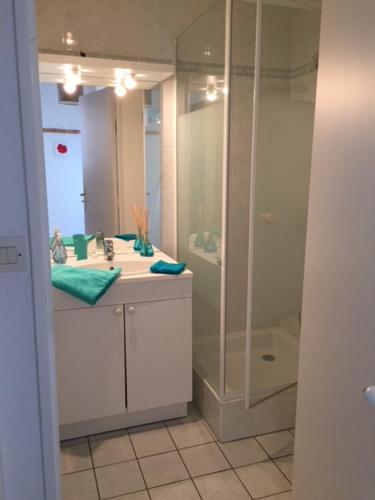 une salle de bain avec douche et lavabo dans l'établissement Beautiful F3, sea view, panoramic, à Blonville-sur-Mer