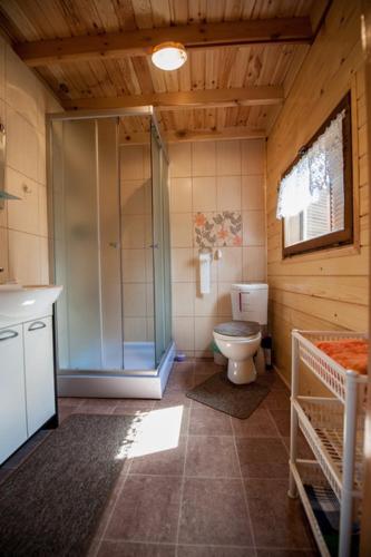 a bathroom with a toilet and a glass shower at Domki Niegowa Agroturystyka in Niegowa