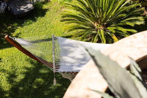 a hammock sitting on the grass next to a palm tree at Le Rose - Suites e Breakfast a 5 min dal mare e Misano World Circuit in Misano Adriatico