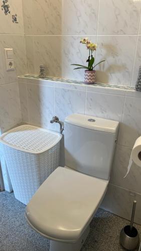 a white toilet in a bathroom with a vase of flowers at Zum Sterngässchen in Ludwigshafen am Rhein