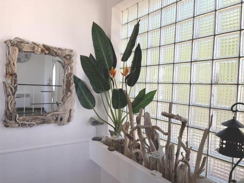 un miroir sur un mur à côté d'une fenêtre avec une plante dans l'établissement Villa 3 étoiles de 120m2 - vue mer - clim - mer à 600m, à Roquebrune-sur Argens
