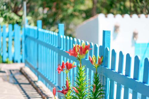 a blue fence with flowers in front of it at Agriturismo Costa del Sud in Teulada