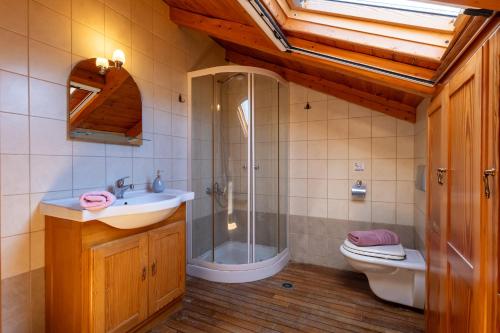 a bathroom with a shower and a sink and a toilet at Katouna Stone House in Katouna