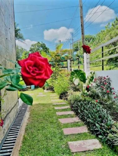 a garden with a red rose and a walkway at Queen Isabel Private Villa and Events Place in Tagaytay