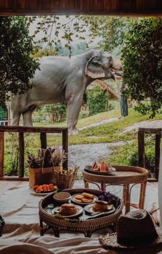 an elephant standing next to a table with food at 3 Pok Maewang jinxiang in Ban Mae Sapok Noi
