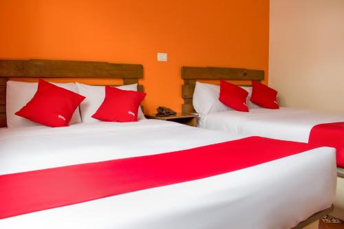 Katil atau katil-katil dalam bilik di OYO Hotel Museo