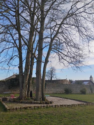 un groupe d'arbres dans un parc à côté d'un mur dans l'établissement Domaine Chapelle, à La Chapelle-la-Reine
