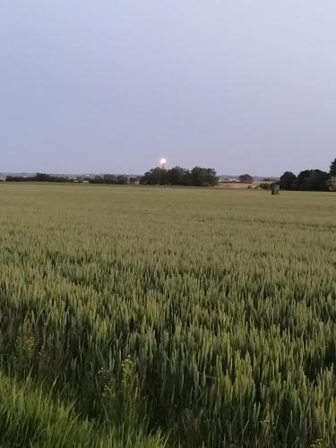 Un paisaje natural cerca de la casa vacacional