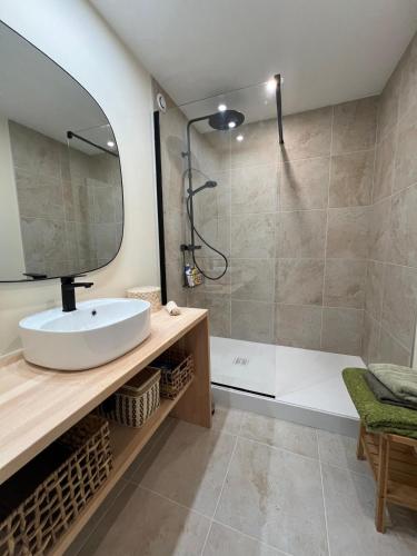 une salle de bain avec un lavabo et une douche dans l'établissement Le GINGKO ZEN EPINAL, à Épinal