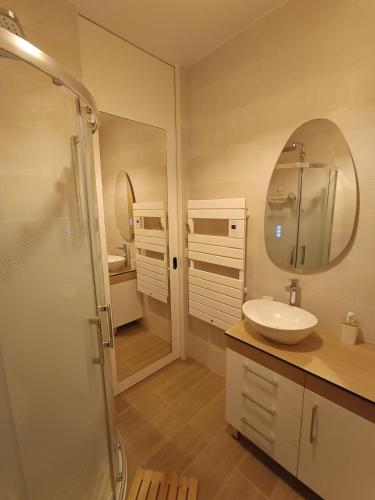 une salle de bain avec un lavabo et un miroir dans l'établissement Extension indépendante avec extérieur 35min Disney, à Mouroux