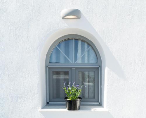 a window with a pot with purple flowers in it at Dauti Gold Suites in Vóthon