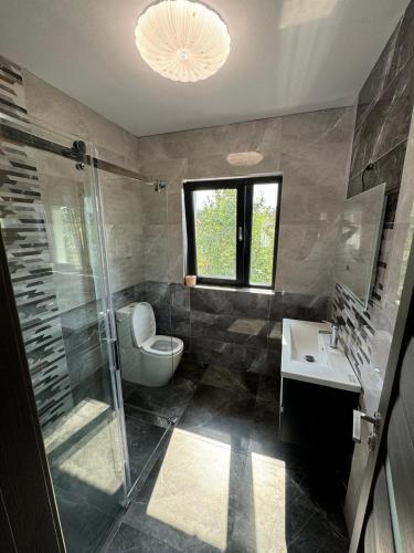 a bathroom with a shower and a toilet and a sink at Furnicuta in Curtea de Argeş
