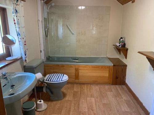 a bathroom with a tub and a toilet and a sink at Bwythyn Ebrill, April Cottage in Betws-y-coed