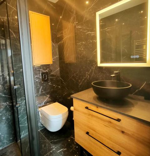 une salle de bain avec toilettes, lavabo et douche dans l'établissement Appartement rénové, 1 chambre, centre historique, à Hyères