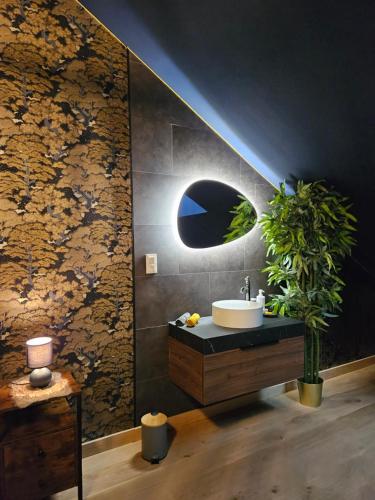 a bathroom with a sink and a potted plant at Le Duché de Godefroy in Bouillon